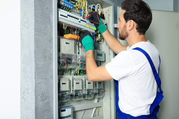 Best Local Electrician Companies  in Boscobel, WI
